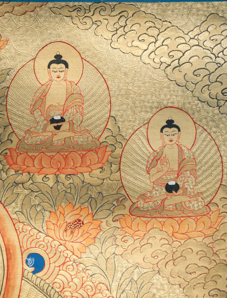 2D3.f3b WT 5B Ay.UV GT38446 (8).webp