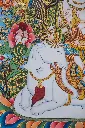 IMG_2081.webp