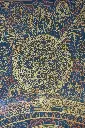 IMG_1355.webp