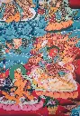 IMG_5484.webp