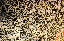 IMG_5425.webp