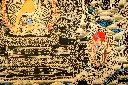 IMG_5423.webp